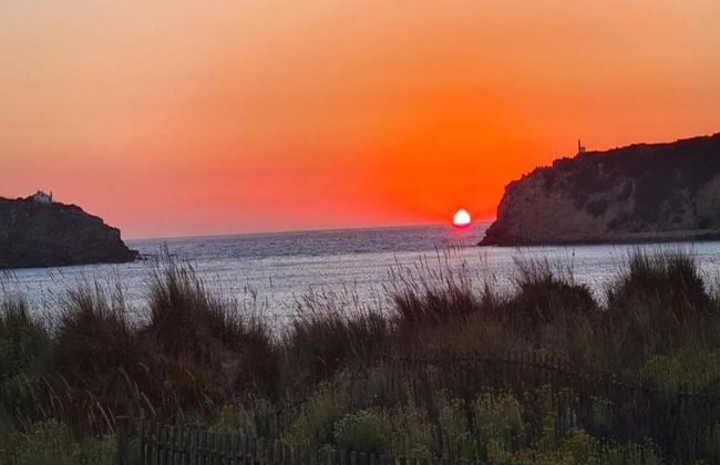 Apartment Sao Martinho Near Beach - Foto 39