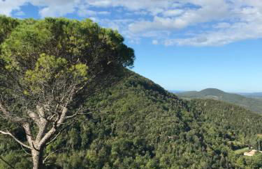 Casa d'Arte - Foto 22