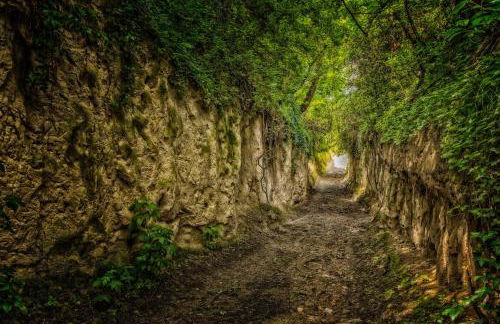 Dreiländereck am Kaiserstuhl - Foto 20