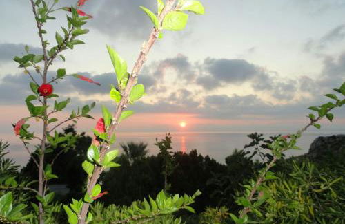 Piccola Baia - Foto 25