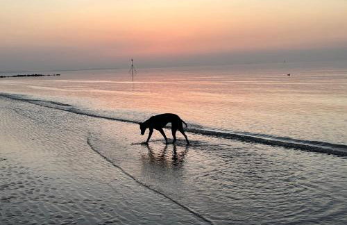 Dog Friendly Lovely Caravan by Beach Prestatyn N Wales 6 Berth Read full Host details before booking Mon in to Fri out Fri in to Mon out Mon to Mon Fri to Fri ONLY - Foto 19