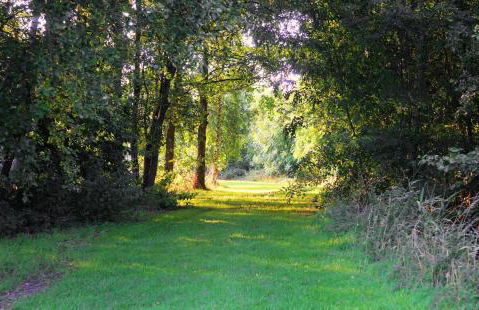 Woodpecker Lodge - Brook Meadow - sleeps 4 plus 2 - no pets - Foto 17