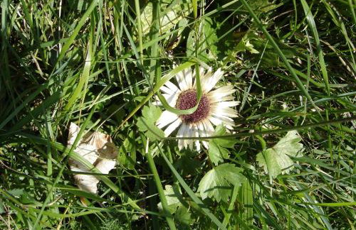 Bad Hindelang - Foto 46