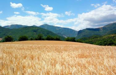 Agriturismo del Frontino - Ca' Marianna - Foto 34