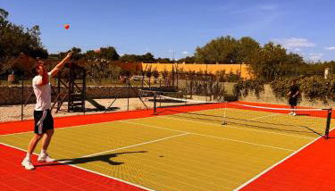 Božini dvori- Villa with Pool, Sauna , Jacuzzi and multifunkcional sport Court - Foto 3