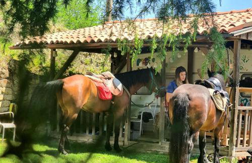 Re Piano appartamento Le Rondini - Photo 12