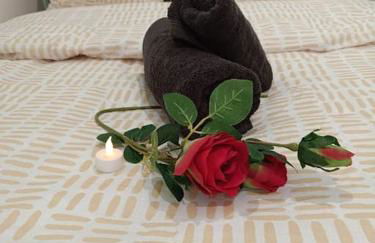 l'échappée verte - Foto 13