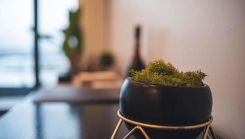 Ribeira Grande Ocean View Apartment - Photo 2