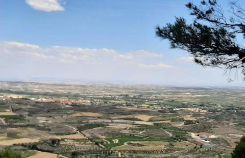 Casa Rural Garnacha de Borja has a Barbacue and Terrace - Foto 45