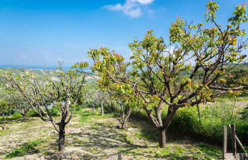 Muses Panoramic View, Minutes from Knossos Minoan Palace - Foto 31