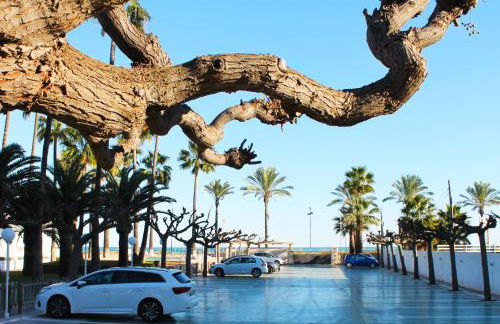 Apartamentos Tamarindos Peñiscola - Foto 72