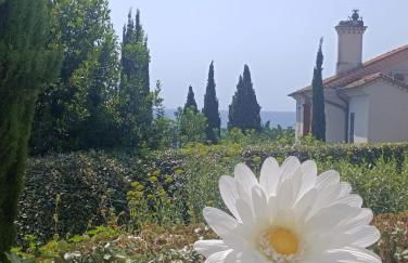 Résidence de luxe Sun Paradis, Studio terrasse, vue Mer Piscine - Foto 33