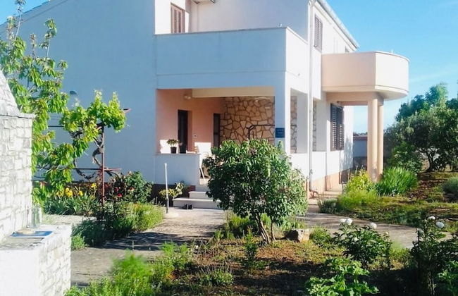 Nick - With Barbecue - A1 - Foto 12