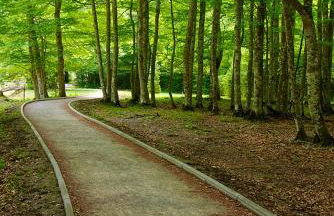 Apartamentos Casa Español - Foto 8