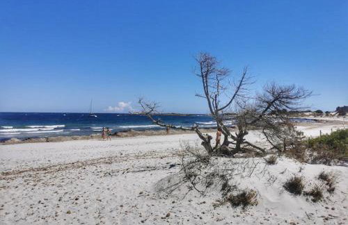 Comino due passi dalla spiaggia - Photo 25