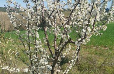 Glamping & Residence IL Villaggio del Re - Foto 47