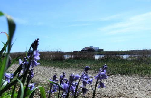 THE HIDEAWAY - LUXURY SELF CATERING COASTAL APARTMENT with PRIVATE ENTRANCE & KEY BOX ENTRY JUST A FEW MINUTES WALK TO THE BEACH, SOLENT WAY WALK, SHOPS and many EATERIES & BARS - FREE OFF ROAD PARKING,FULL KITCHEN, LOUNGE,BEDROOM , BATHROOM & WI-FI - Foto 70