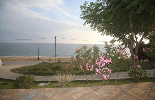 Akrothalassia - Foto 20