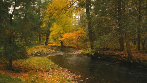 Enchanting River- Water Front A-Frame Cabin - Foto 2