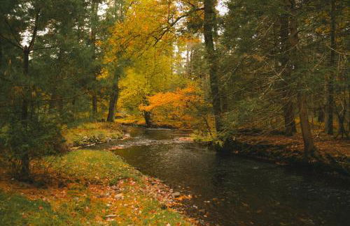 Enchanting River- Water Front A-Frame Cabin - Foto 2