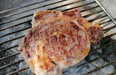 Tiny house Dora - Foto 25