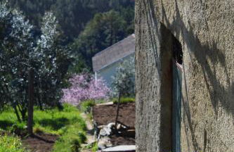 Casa do Avô - Foto 43