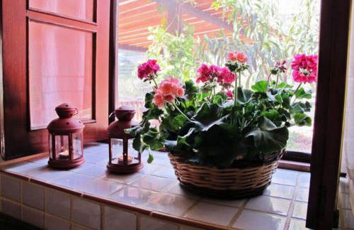 Casa Rural La Pitanga - Foto 17