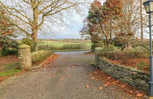 Carvin-Tor - Foto 28