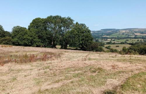 1 Bed in Llanybydder oc-81354 - Photo 19