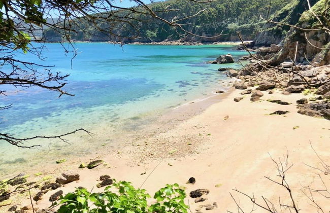 Tranquil Alentejo Villa With Pool - Foto 36