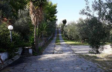 Σπίτι σε ελαιώνα, house in an olive grove - Foto 28