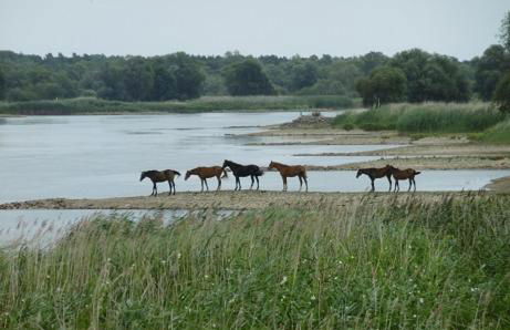 Oderbruchhütte - Photo 31