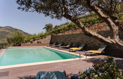 Feel Discovery Alvim's Douro - Foto 44