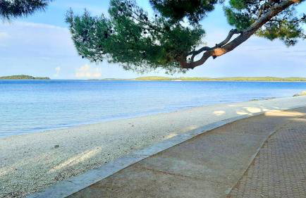 Apartman Dino - Foto 30