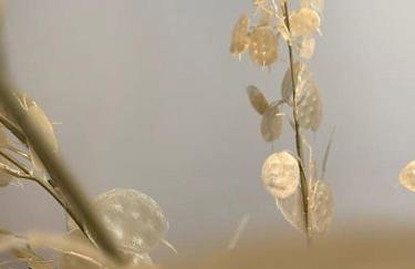 Atelierhaus Zentrum,ruhig,HT herzlich willkommen - Photo 17