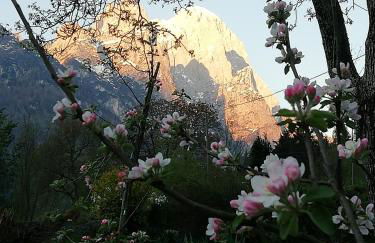 Apartment El Cor - Photo 49