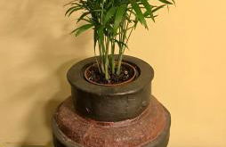 Loft 80 mts en un entorno natural. - Foto 56