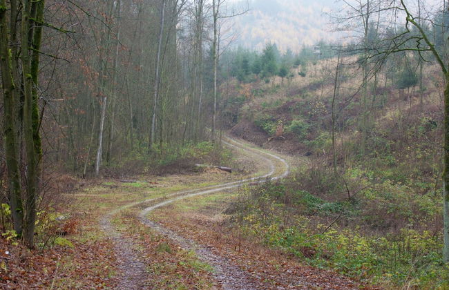 Familienferienhaus in Huttenrode - Foto 32