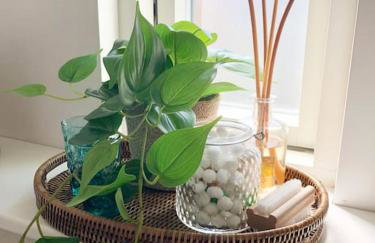 The Cuckoo's Nest - A Romantic & Peaceful Hideaway - Photo 22