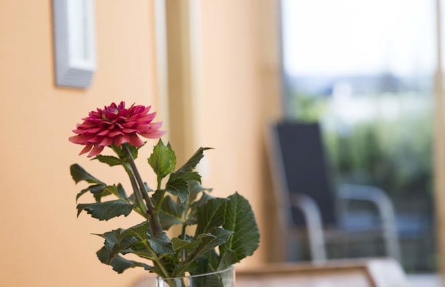 Ferienhaus Dornstetten - Foto 42