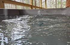 HotTub, Arcade - Less than 15 min to all RRG Attractions - Foto 14