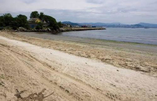 Casa Playa Meira - Photo 27