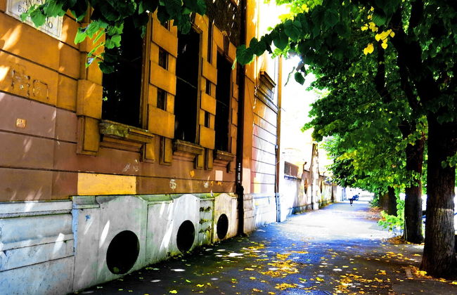 NIK King Rooms - Photo 23