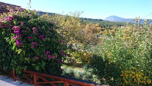 El pajar de Inés - Foto 5