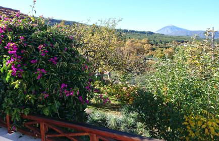 El pajar de Inés - Foto 5