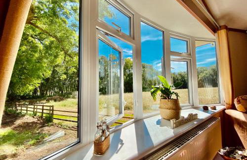 Highgate Mountain - Foto 16