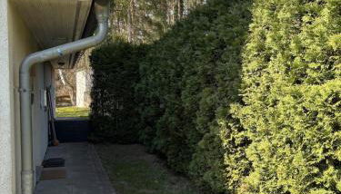 Haus Kranich -direkt am See Natur pur- - Foto 2, Garden