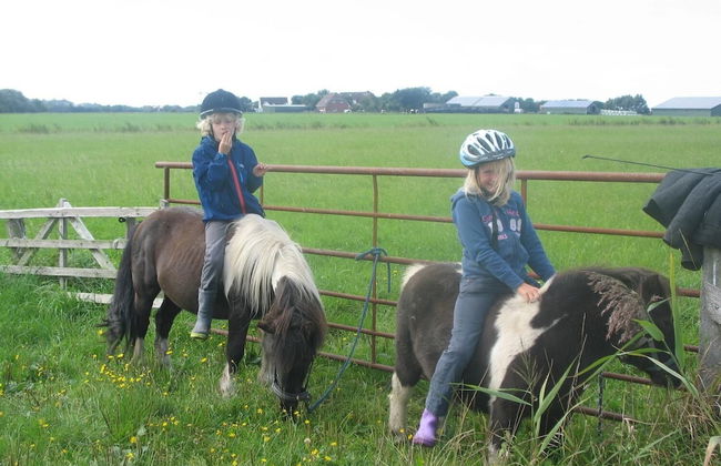 Dorotheenhof - Foto 15