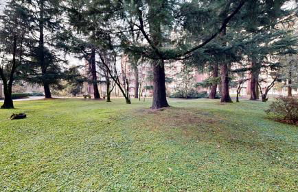 La Magnifica - San Donato Policlinico - Foto 16