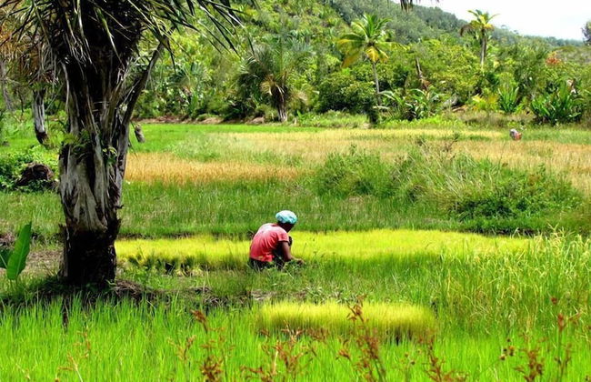 La Villa Mahafaly - Foto 26